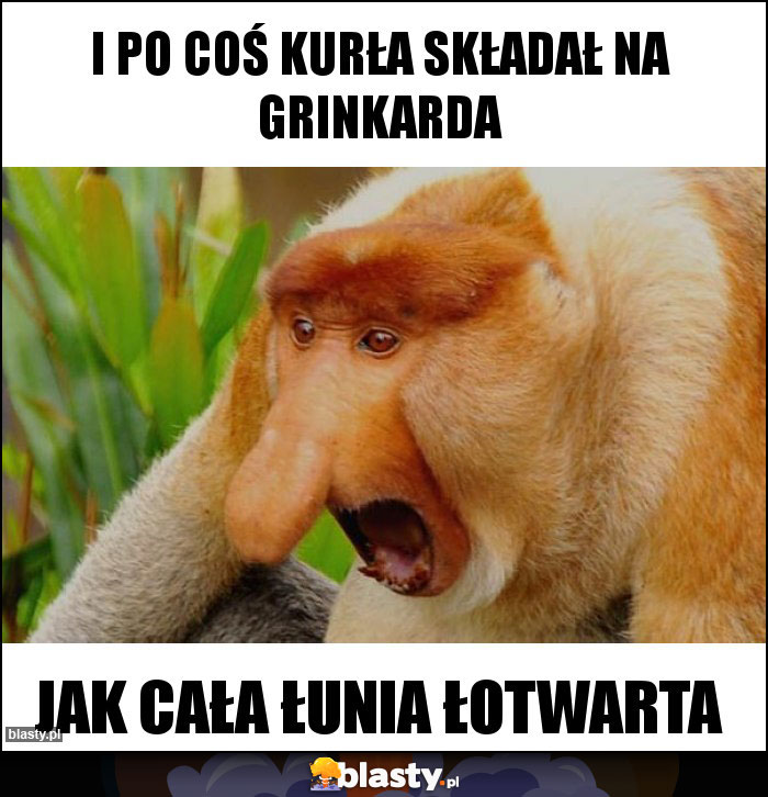 I po coś kurła składał na grinkarda