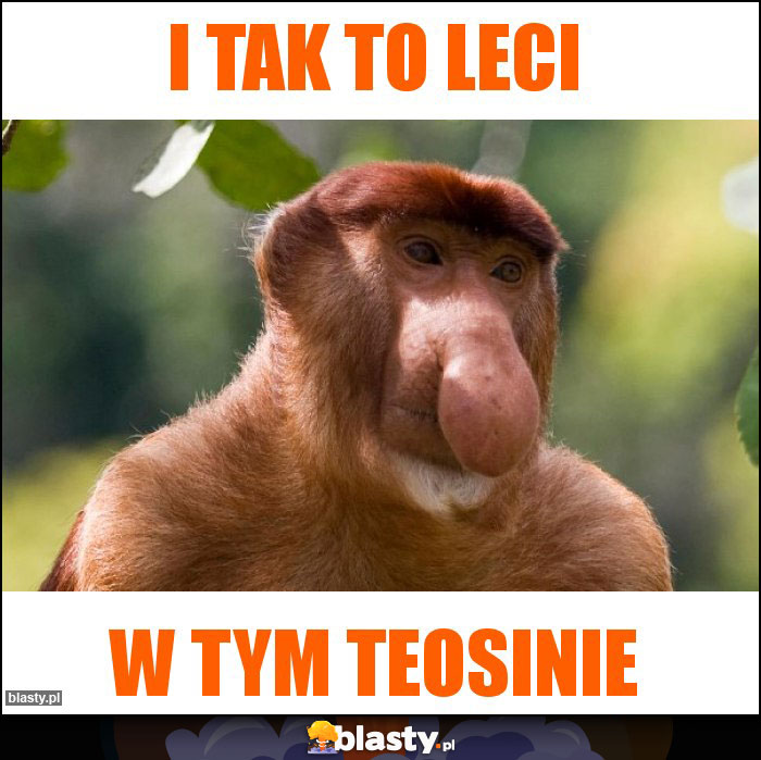 I tak to leci