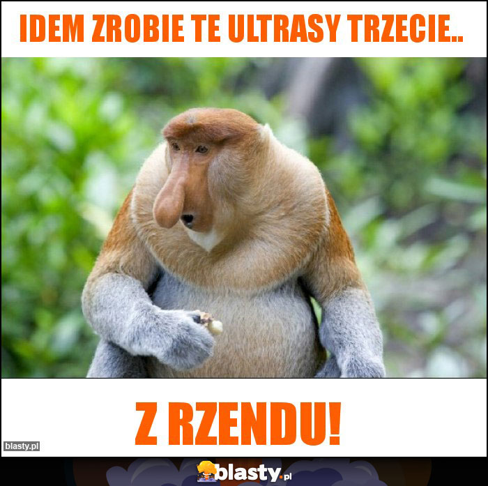 Idem zrobie te ultrasy trzecie..