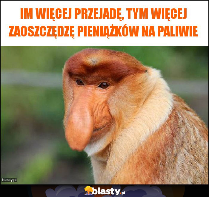 Im więcej przejadę, tym więcej zaoszczędzę pieniążków na paliwie