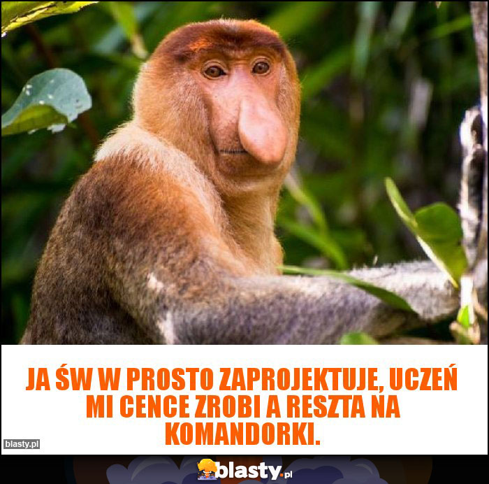 Ja św w prosto zaprojektuje, uczeń mi cence zrobi a reszta na komandorki.