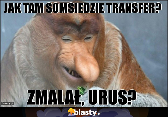 Jak tam somsiedzie transfer?