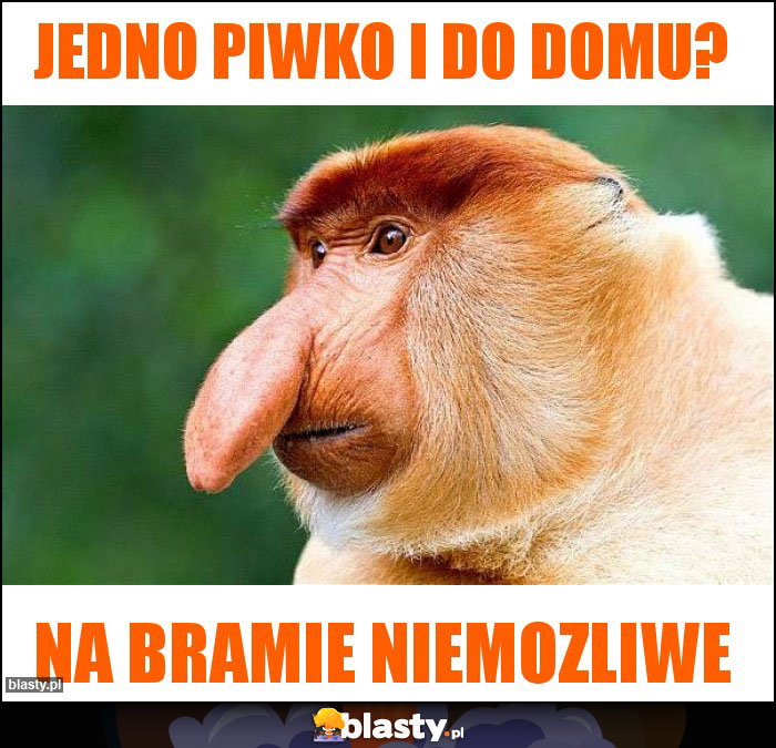 Jedno piwko i do domu?