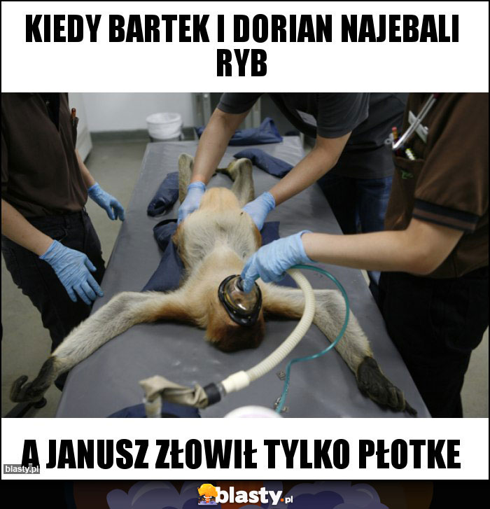 Kiedy bartek i dorian najebali ryb