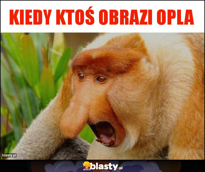 KIEDY KTOŚ OBRAZI OPLA