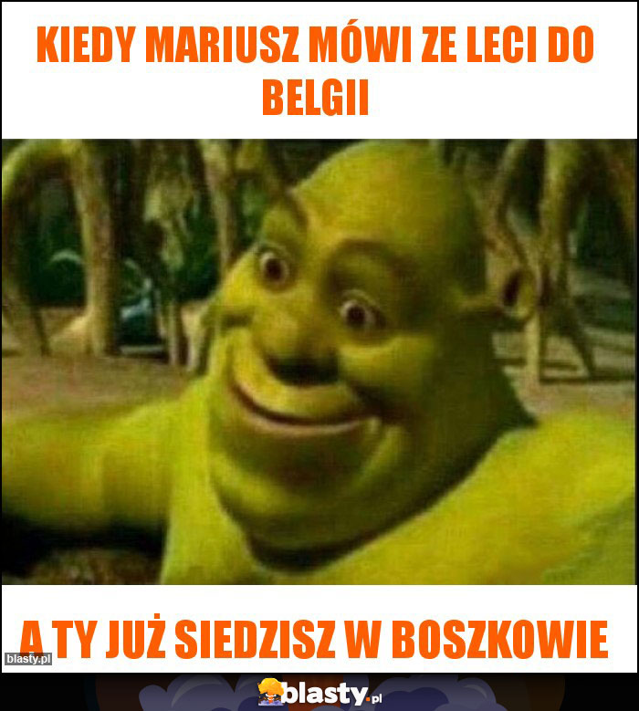 Kiedy mariusz mówi ze leci do Belgii