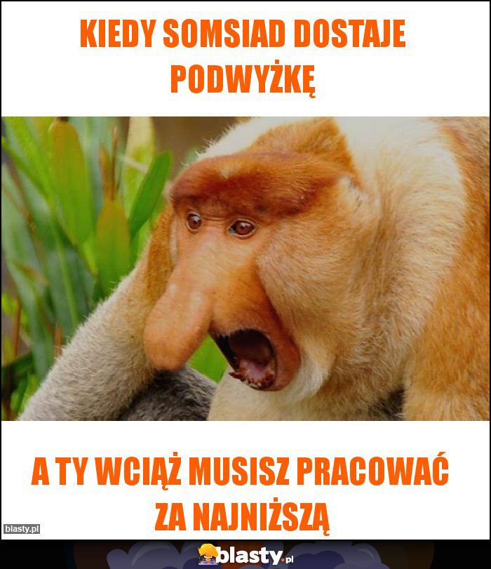 Kiedy somsiad dostaje podwyżkę