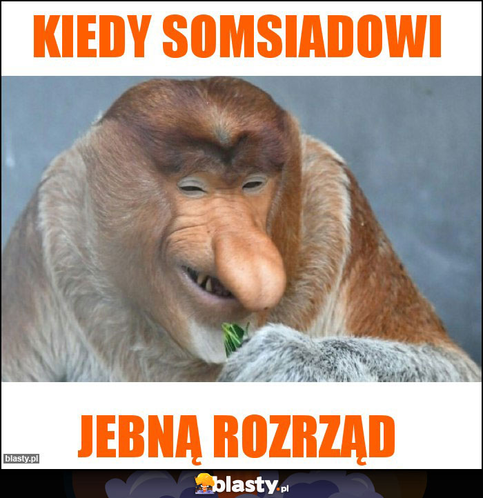 KIEDY SOMSIADOWI