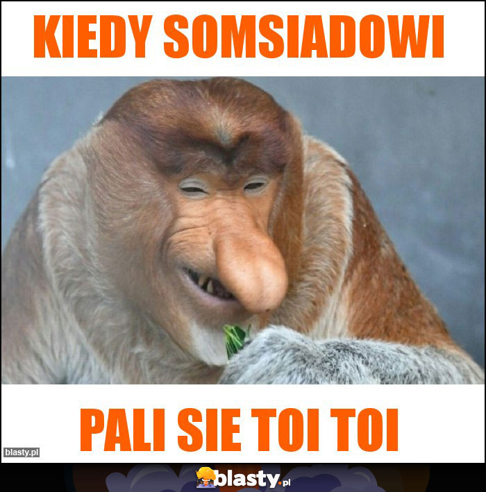 kiedy somsiadowi