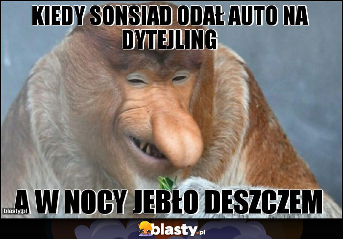 KIEDY SONSIAD ODAŁ AUTO NA DYTEJLING