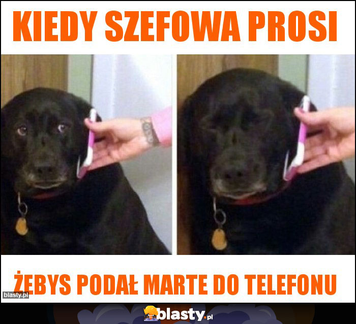 Kiedy szefowa prosi