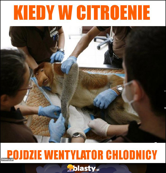 Kiedy w Citroenie