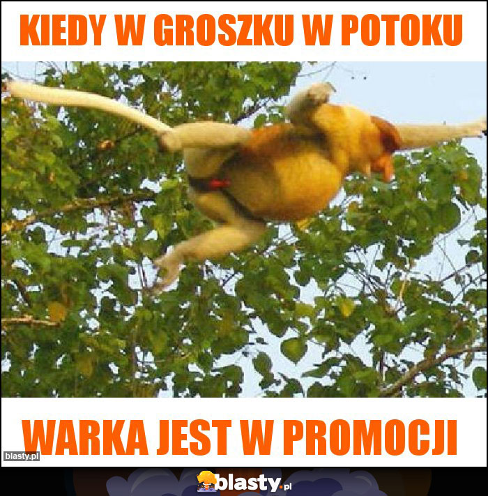 Kiedy w groszku w potoku