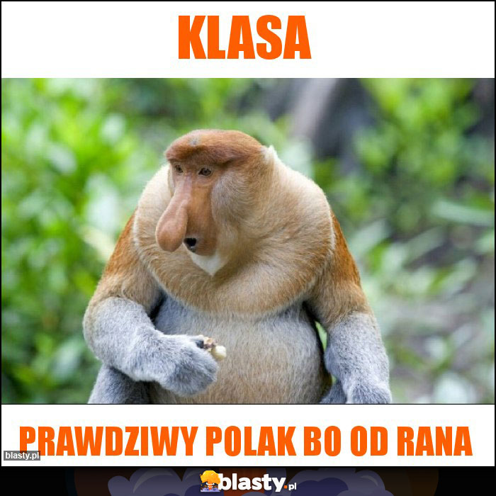 Klasa