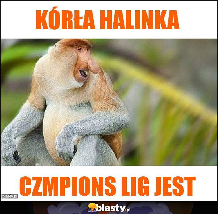KÓRŁA HALINKA