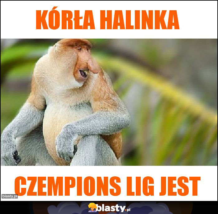 KÓRŁA HALINKA