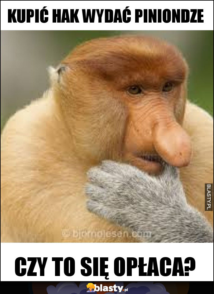 KUPIĆ HAK WYDAĆ PINIONDZE