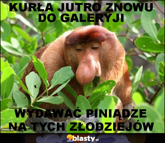 Kurła jutro znowu do galeryji