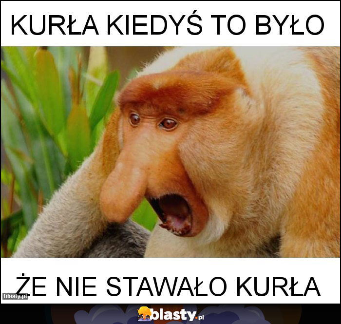 kurła kiedyś to było
