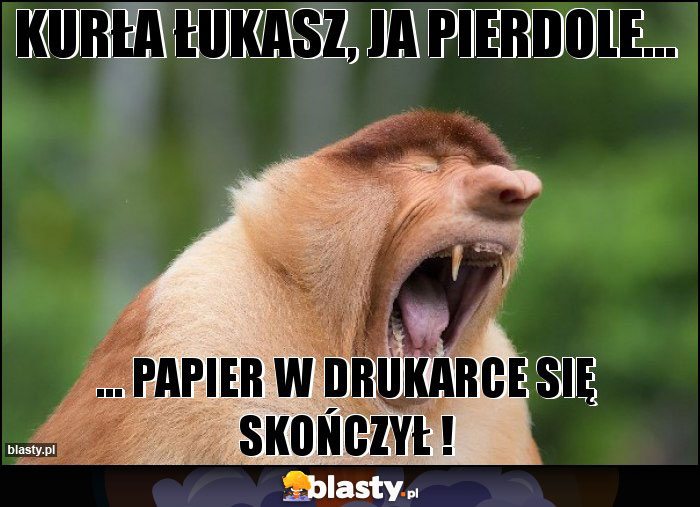 Kurła łukasz, ja pierdole...