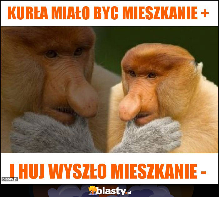 KUrła miało byc mieszkanie +