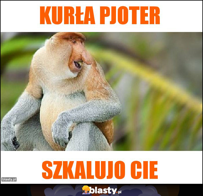 Kurła Pjoter