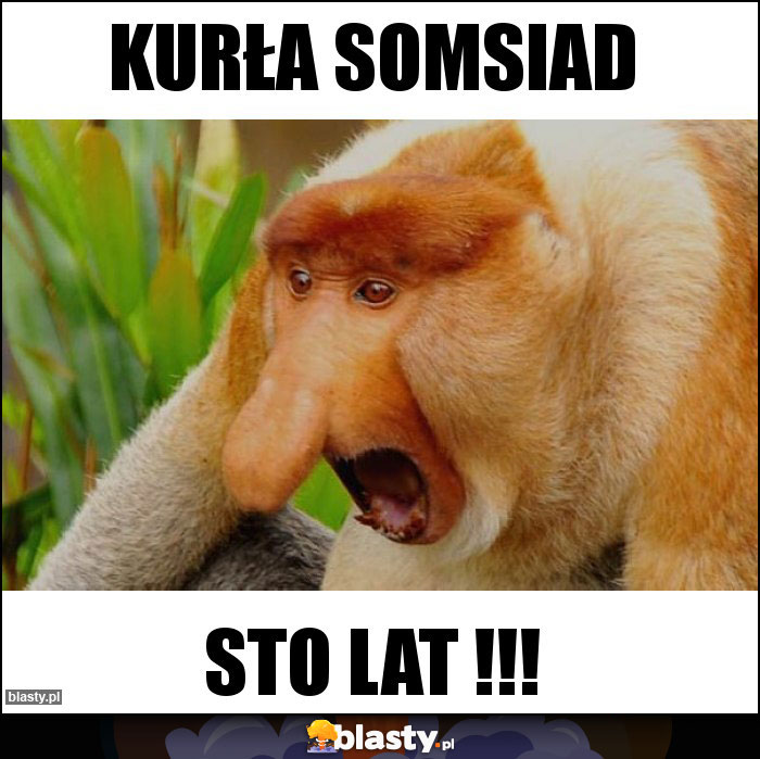Kurła somsiad