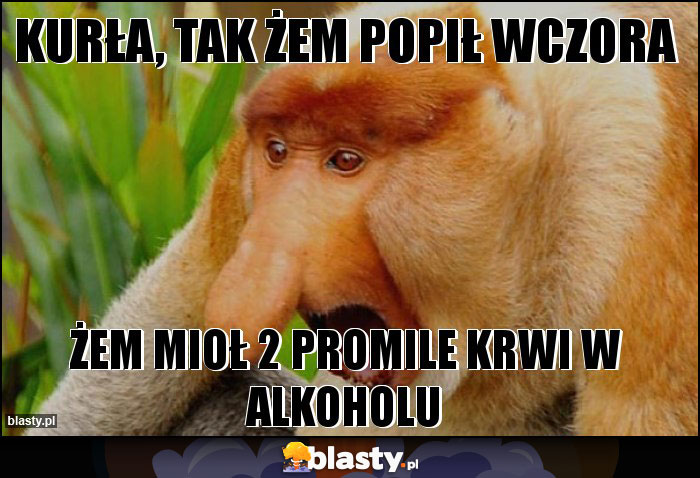 Kurła, tak żem popił wczora