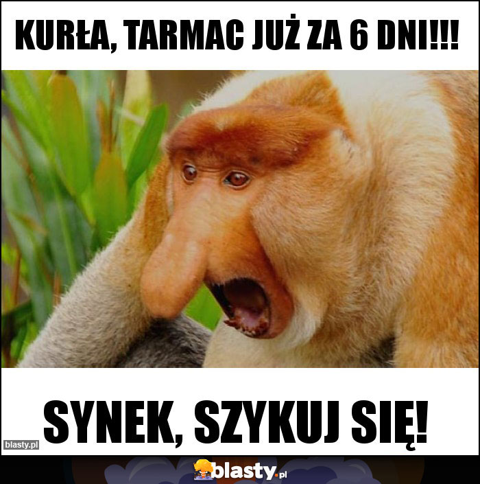 Kurła, Tarmac już za 6 dni!!!