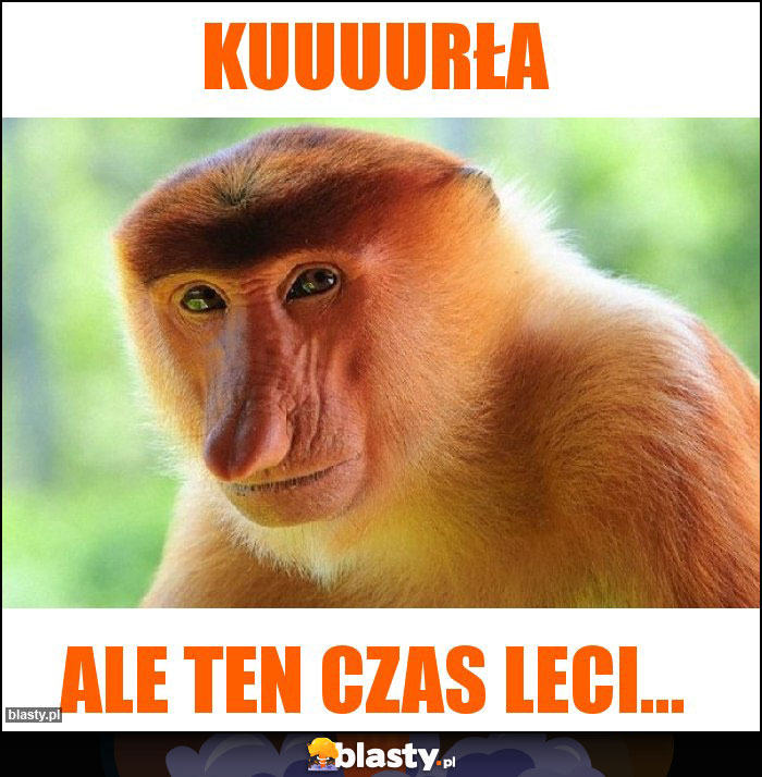 Kuuuurła