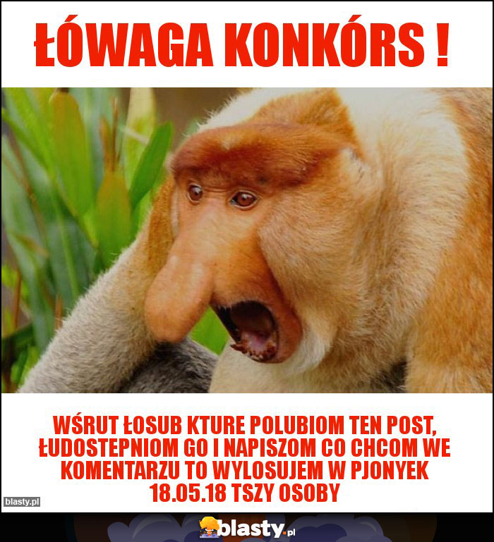 ŁÓWAGA KONKÓRS !