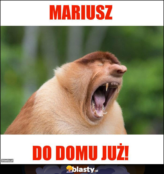 Mariusz