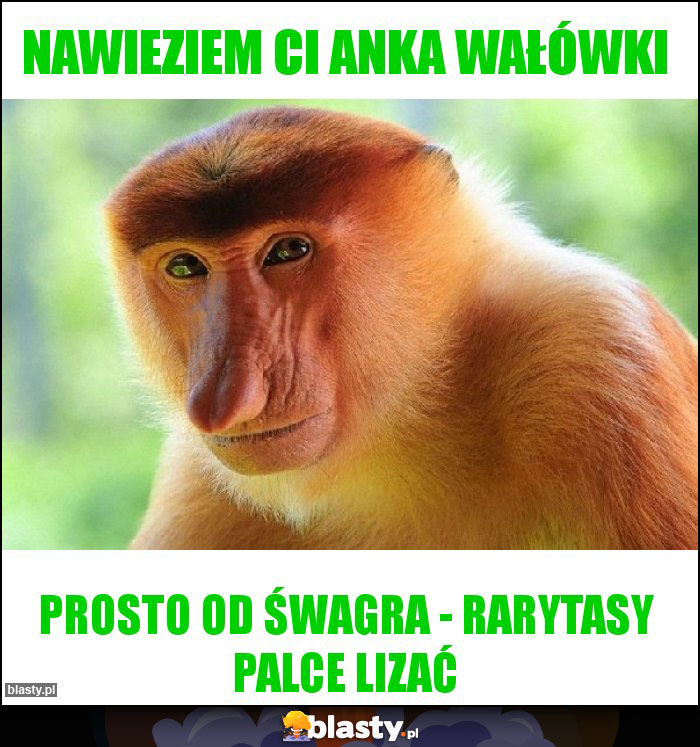 Nawieziem Ci Anka wałówki