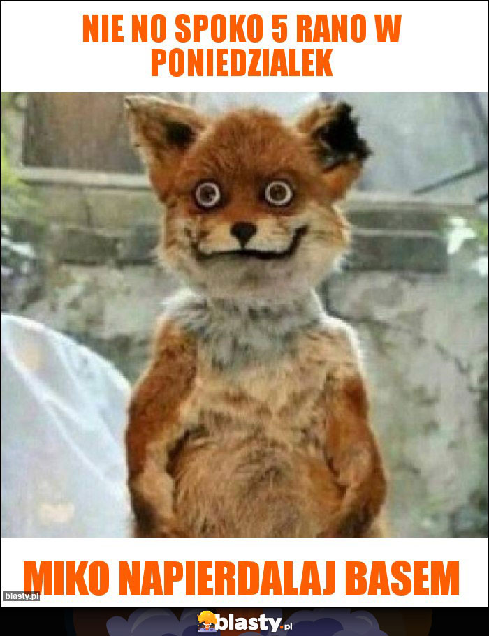 Nie no spoko 5 rano w poniedzialek