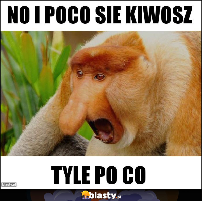No i poco sie kiwosz