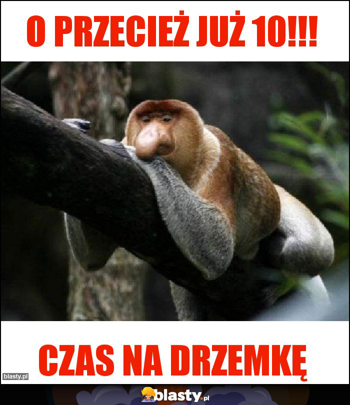 O przecież już 10!!!