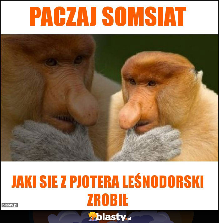 Paczaj somsiat