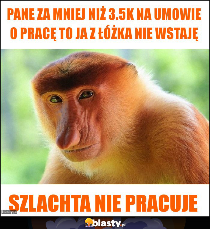 Pane za mniej niż 3.5k na umowie o pracę to ja z łóżka nie wstaję