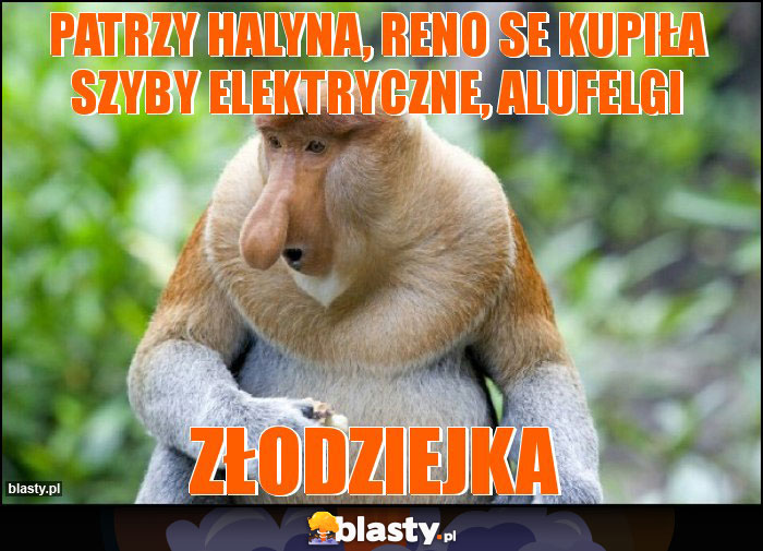 PATRZY HALYNA, RENO SE KUPIŁA szyby elektryczne, alufelgi