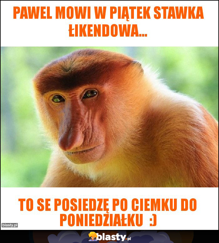 Pawel mowi w piątek stawka łikendowa...