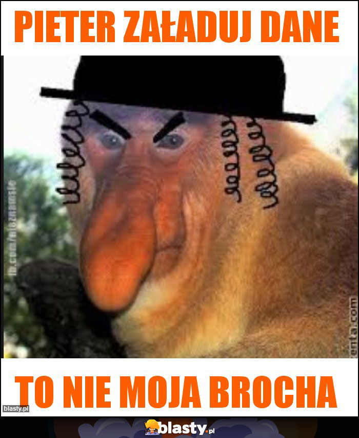 Pieter załaduj dane