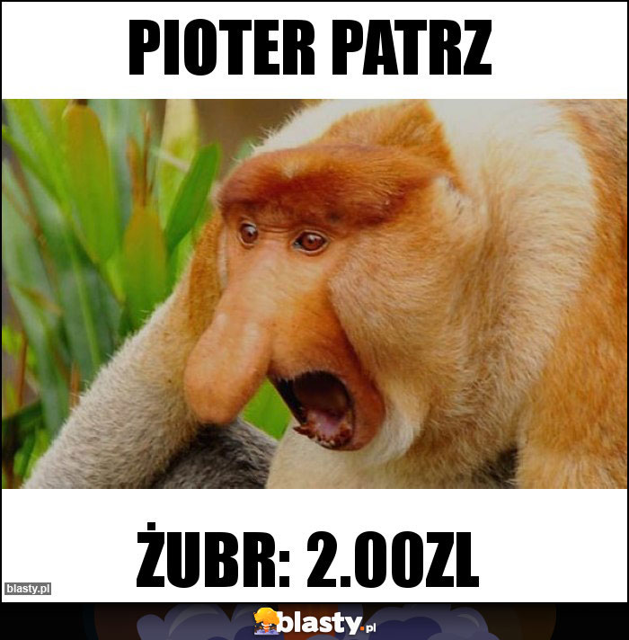 Pioter patrz