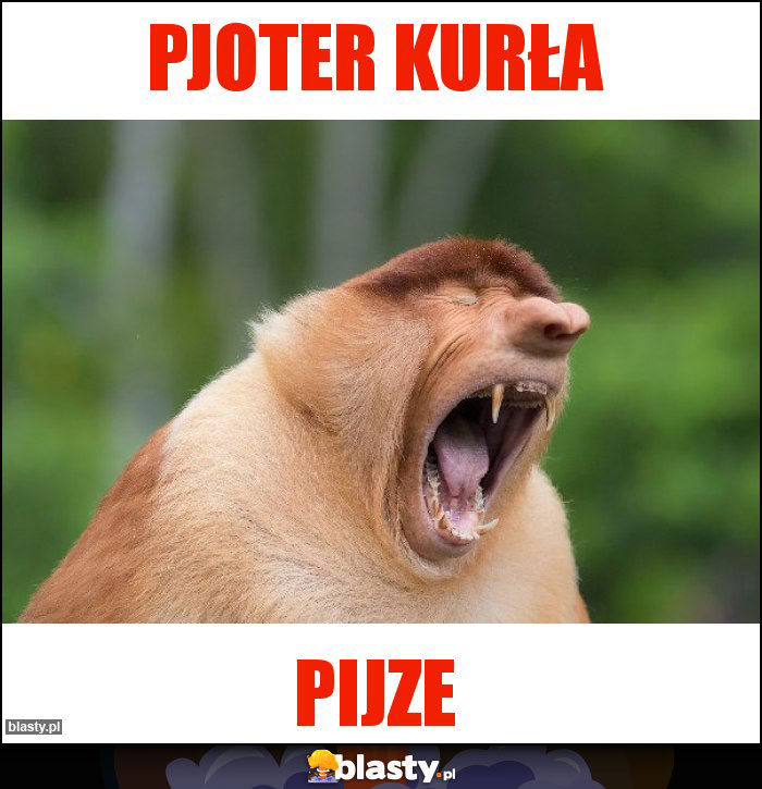 Pjoter kurła