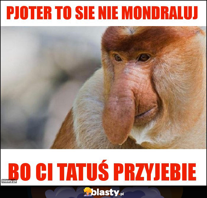 Pjoter to sie nie mondraluj