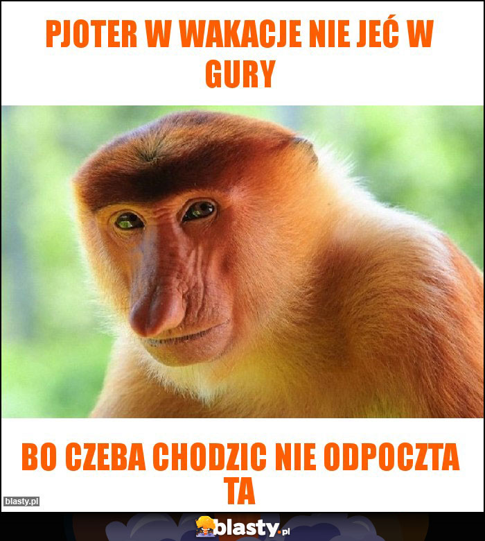 Pjoter w wakacje nie jeć w gury