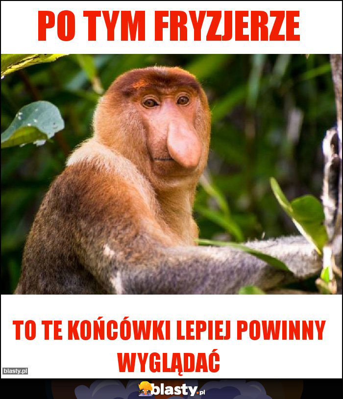 Po tym fryzjerze