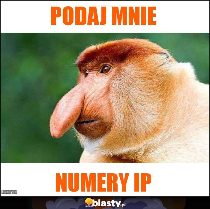 podaj mnie