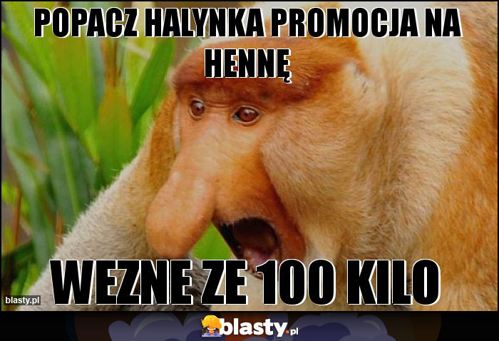 popacz halynka promocja na hennę