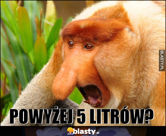 Powyżej 5 litrów?