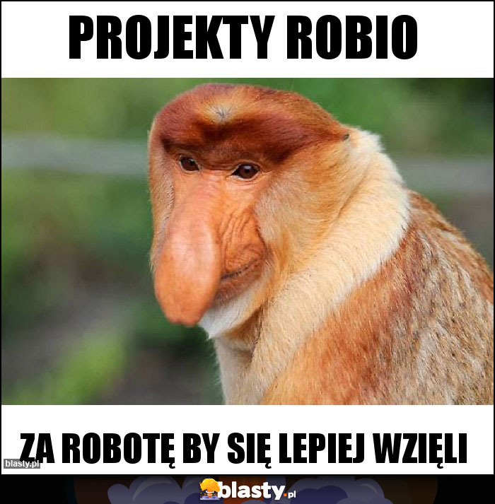 projekty robio